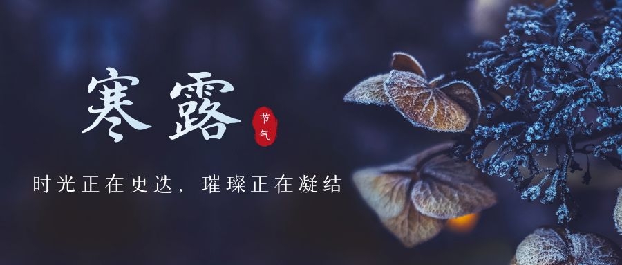寒露 ▎時(shí)光更迭，璀璨正在凝結(jié)~
